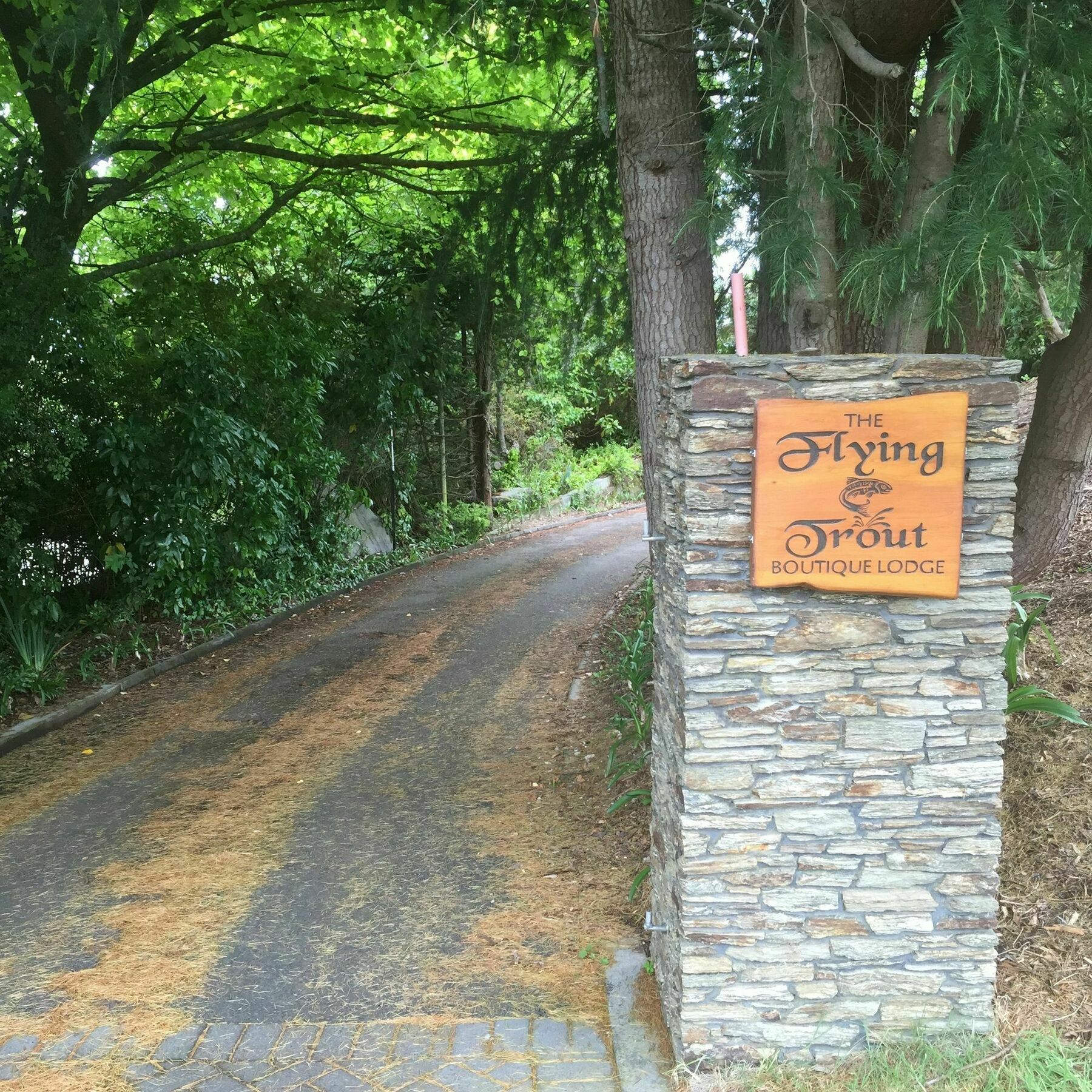 The Flying Trout Boutique Lodge Taupo Exterior photo